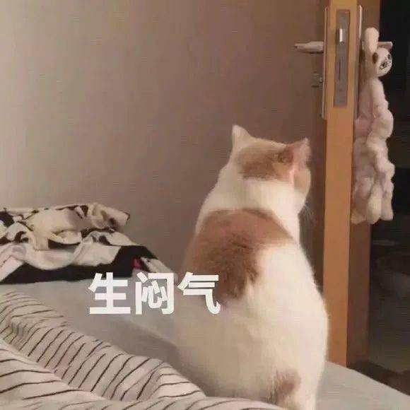 你是什么品种的猪