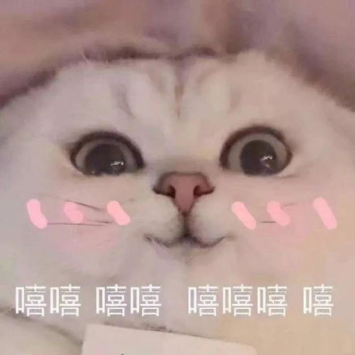 hi表情包可爱朋友圈