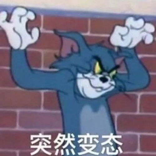 表情包今天犯点什么坏好呢