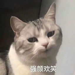表情包我只想打游戏