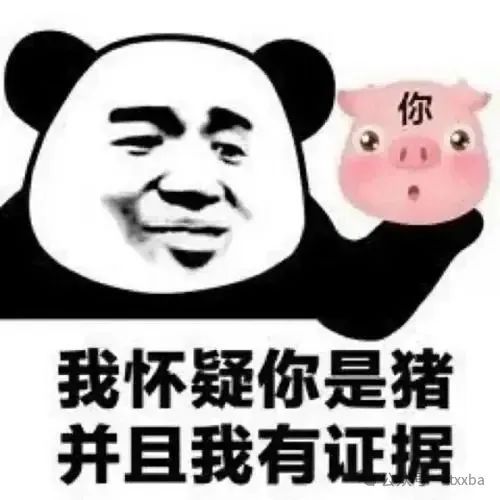 懒猪表情包表情