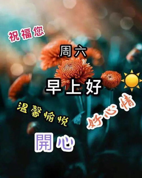 超级漂亮早上好问候祝福语动态图片冬天清晨温馨早安问候动画表情图片