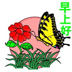 清晨的阳光里,我的早安伴你起床,愿你开心一整天,早安