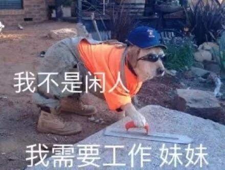 如何看待打工人的梗的流行