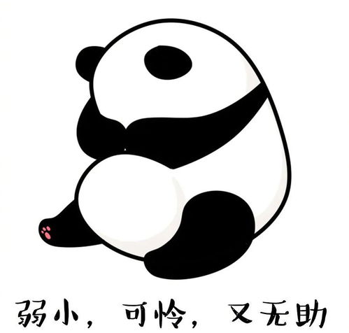 关爱野生动物,保护美好家园