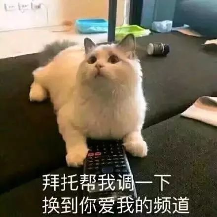 全网最大尺度情侣表情包,男票看完疯狂害羞心跳