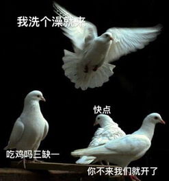 成年人的友谊太塑料放鸽子争霸赛,你的朋友里谁能赢
