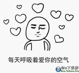 面对疾风