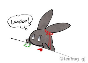 蓝忘机有多爱魏无羡