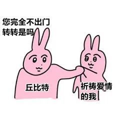 表情包粉兔子系列