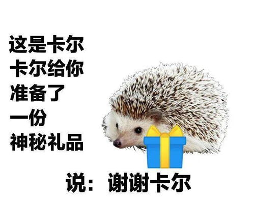 最近很火的刺猬卡尔是什么梗超全表情包来啦