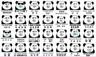 表情包长图片姚明