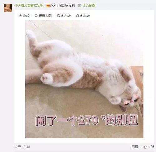 和对象发的污的表情包快马