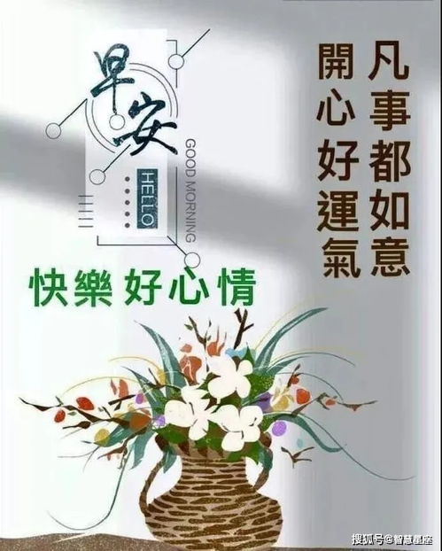 2021夏季早晨最美的鲜花问候早上好鲜花动态表情图片