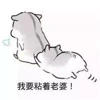 仓鼠夫君妻奴表情包老婆老婆老婆我们的心里只有老婆
