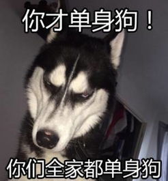 这个地方去一次就收获一个爱人,情人节最佳选择