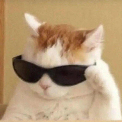 今日头像丨喜出望外的傍晚