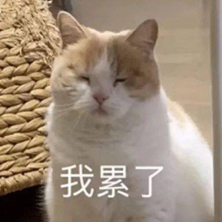 日常聊天表情包i我的小宝贝在吗