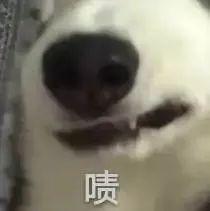 我准备好了,来吧