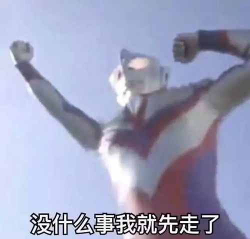 沈月,求求你别再辣我眼睛了
