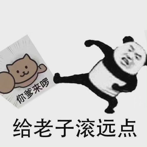 表情包沙雕表情包1726期