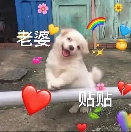 贴贴什么意思梗贴贴梗的意思含义出处介绍