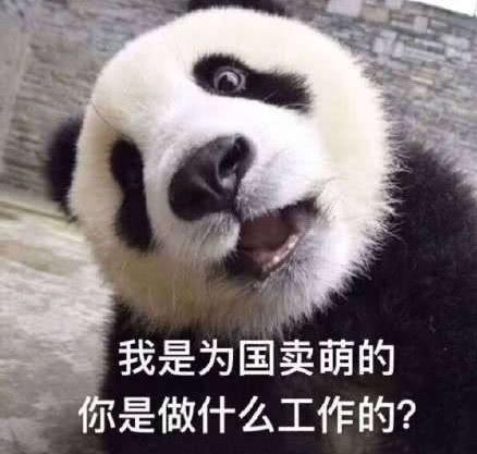 大熊猫表情包近日爆红网络,一张比一张有趣,网友亮点在最后