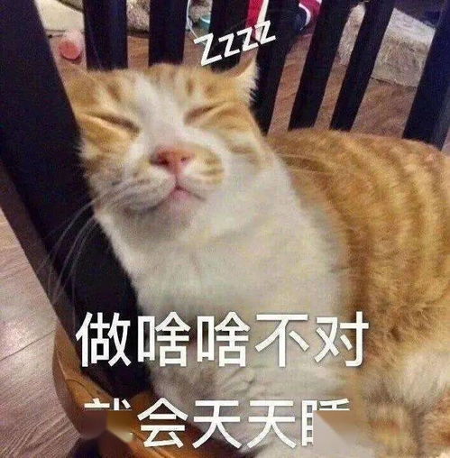 来点小可爱表情包