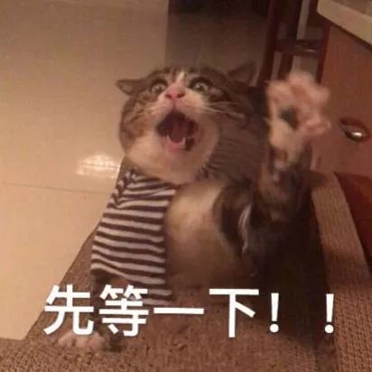 表情包我就是要明目张胆的喜欢你,不然是要怎样啊