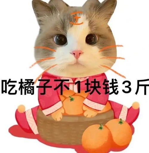 表情包,恋爱的五味我就先替各位尝了
