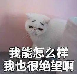 德馨痛了这么多年,你知道痛经是怎么回事吗