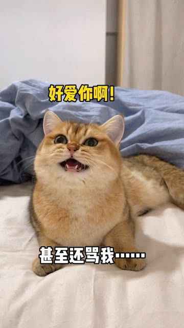 我能有什么坏心眼呢只不过是想让你变成我的秃头小宝贝萌宠出道计划