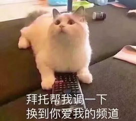 网恋吗你喜欢的样子我都能p最新网络诈骗手法大全