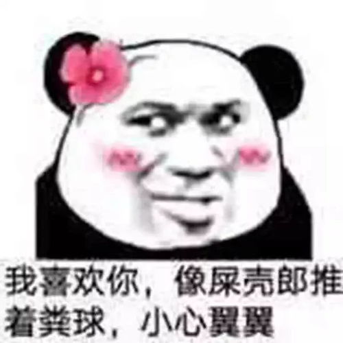 有你的照片表情包送给