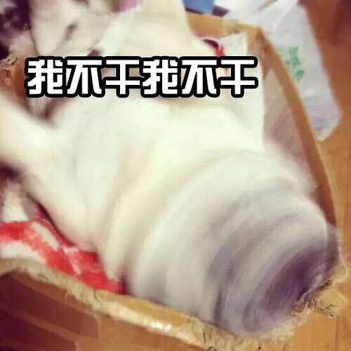 求推荐好看实用的眼镜盒