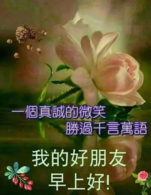 早上好图片祝福语全集2020新出的微信早晨问候表情