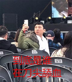 王思聪吃热狗照片为什么这么火表情包游戏视力表都来了