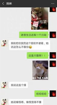 表情包生成链接网民