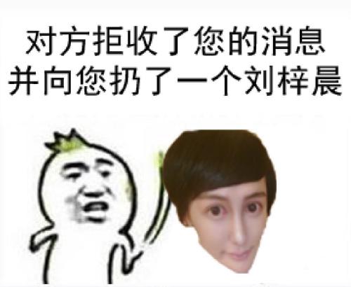 求图对方拒收了您的消息并向你扔了一只刘梓晨