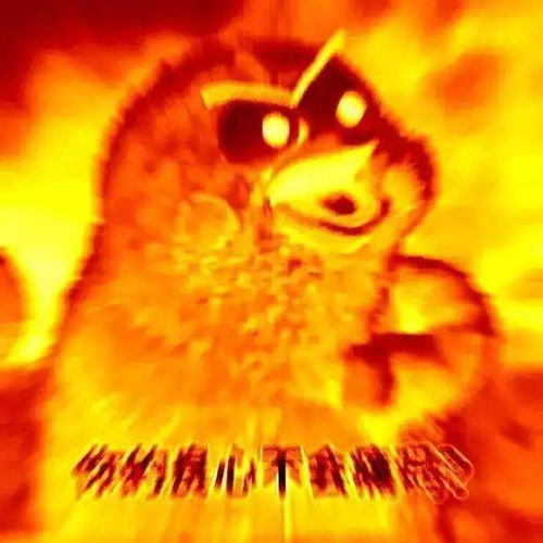 公司爆炸表情包