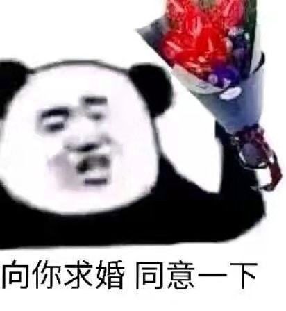 仙女下凡啦表情包男朋友