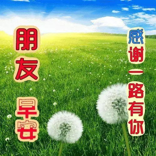 10月2日最漂亮早上好动态表情图片大全,早晨好美图大全