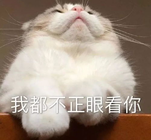 小可爱的表情包