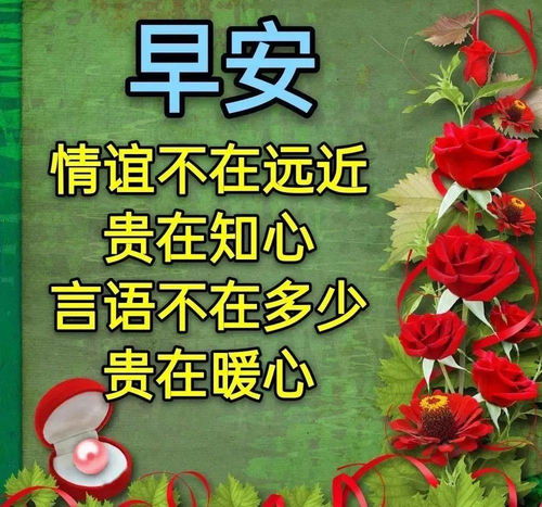2月7日早上好祝福经典语录晚上好表情图早上好表情包