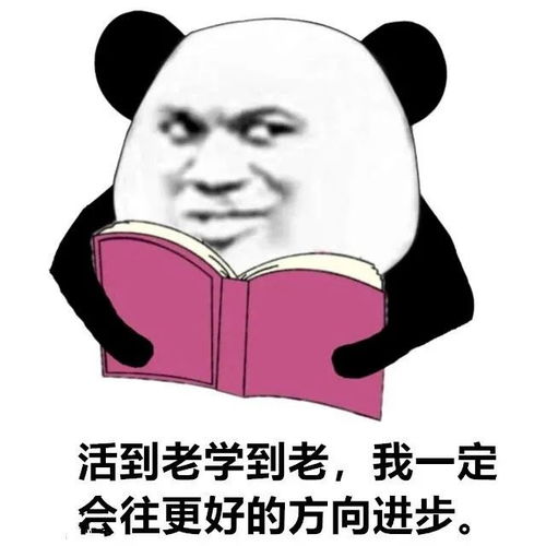 救命表情包图片孙一宁