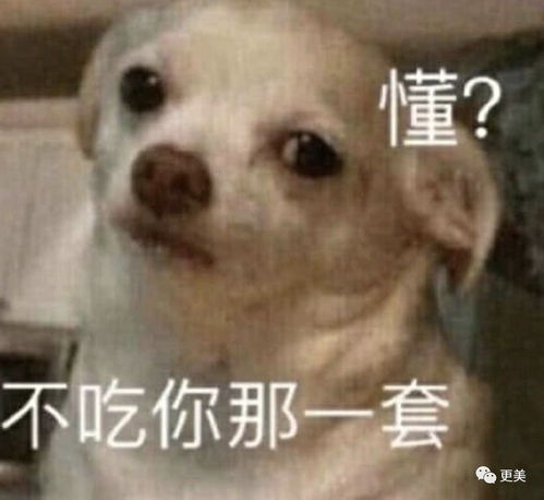 插足婚姻逼走原配,宣布怀孕还被骂,41岁却像喝了冻龄水