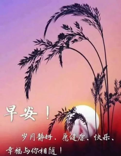 早上好表情包大家早上好表情大全动态图片2021
