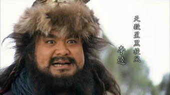 水浒中杀人最多的李逵杀了多少人