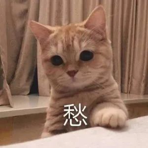 装肺癌骗吃骗喝,背后开百万豪车住千万豪宅还理直气壮