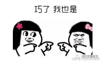 日本人为什么非常偏爱米田共